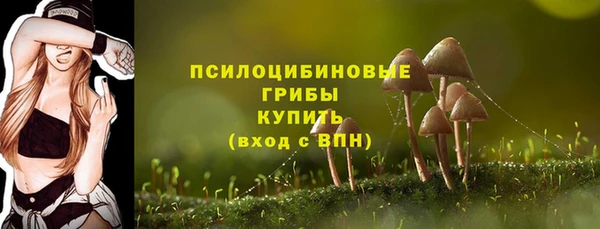 ГАЛЛЮЦИНОГЕННЫЕ ГРИБЫ Дмитров