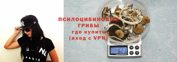таблы Дмитровск