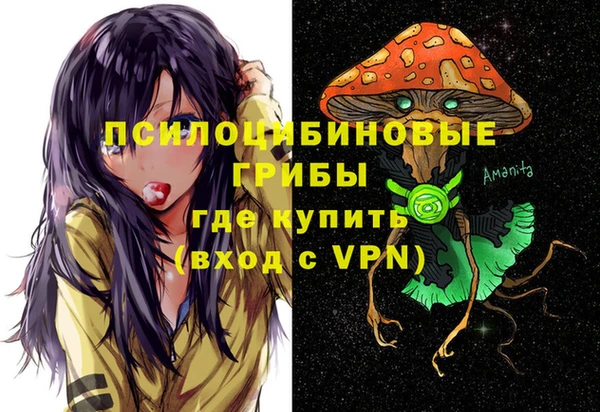 сатива Елизово