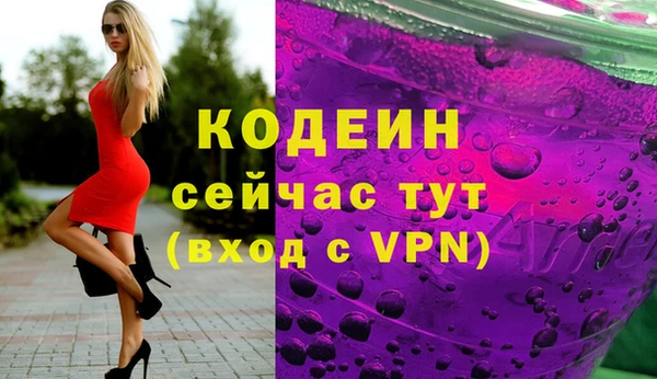 соль ск Дмитриев