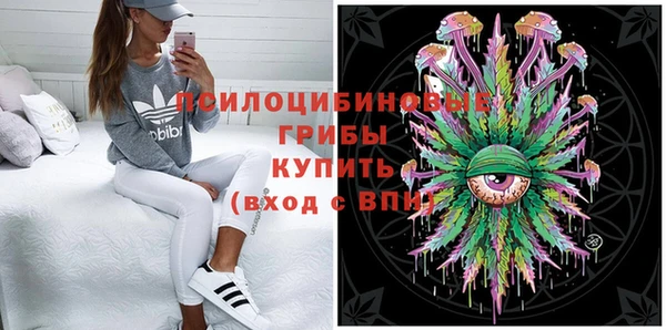 МДПВ Гусев