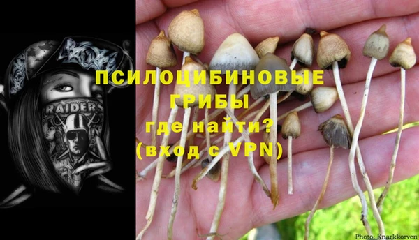 гидропоника Гусь-Хрустальный