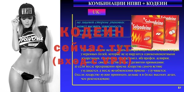МДПВ Заводоуковск